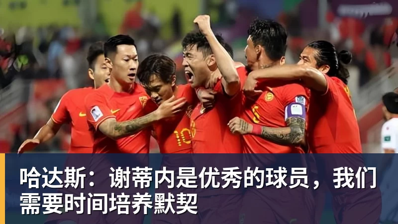 MK体育哈达斯：谢蒂内是优秀的球员，我们需要时间培养默契