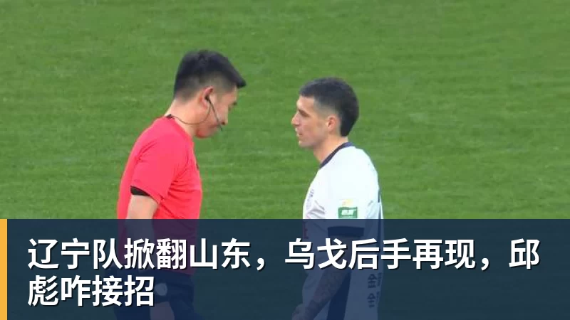 MK体育辽宁队掀翻山东,乌戈后手再现,邱彪咋接招