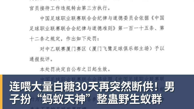 MK体育连喂大量白糖30天再突然断供!男子扮“蚂蚁天神”整蛊野生蚁群